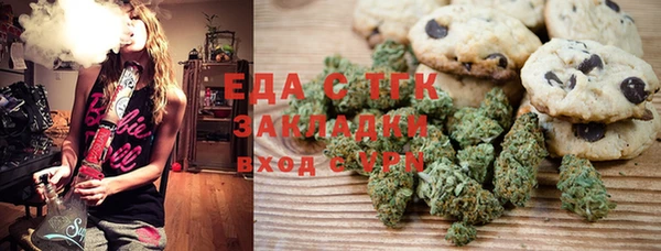 хмурый Алексин