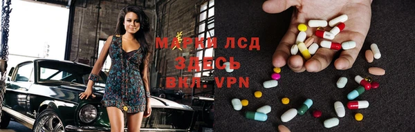 ПСИЛОЦИБИНОВЫЕ ГРИБЫ Арсеньев