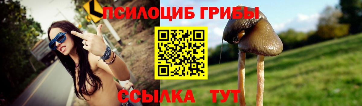 Псилоцибиновые грибы мухоморы Можга