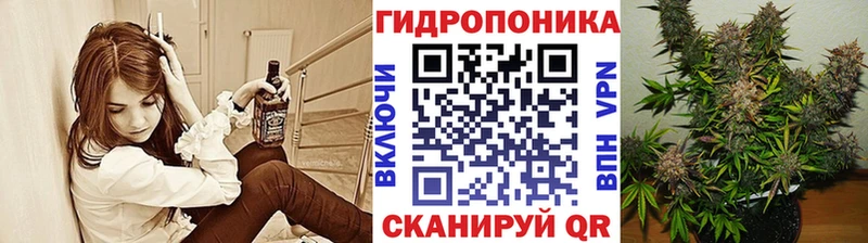 наркота  Можга  Каннабис Amnesia 